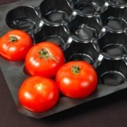tomatoes-in-plastic-packaging