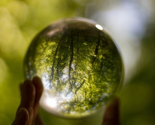 Trees-in-Crystal-ball