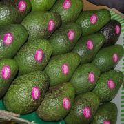 box-of-avocados-with-stickers