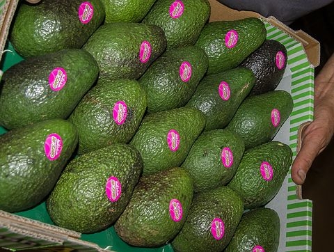 box-of-avocados-with-stickers
