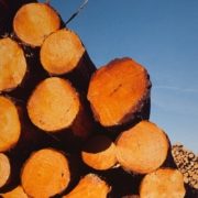 Stack of British Timber against blue sky background