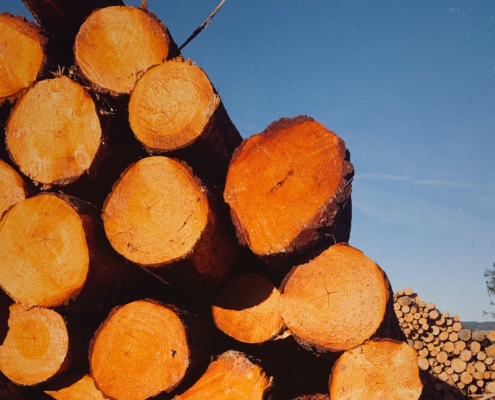 Stack of British Timber against blue sky background