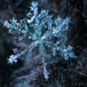 frozen-ice-crystal