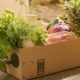 cardboard-box-filled-with-groceries