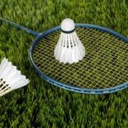 shuttlecocks-and-racket-on-grass