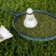 shuttlecocks-and-racket-on-grass