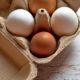 eggs-in-sustainable-packaging