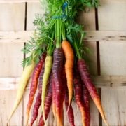 bunch-of-heritage-carrots