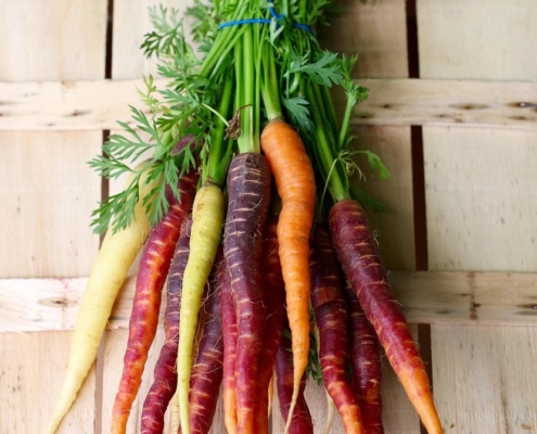 bunch-of-heritage-carrots